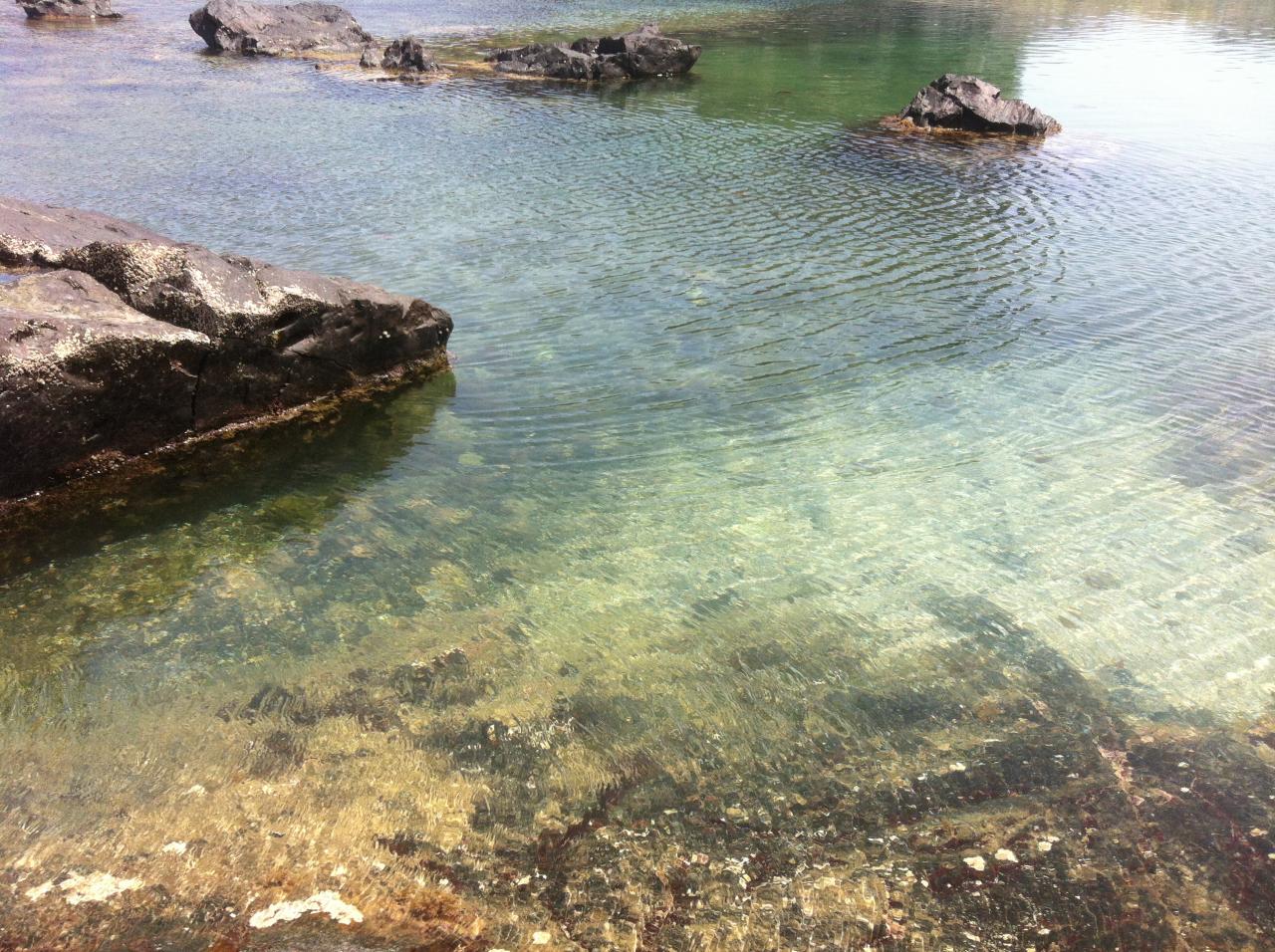 Piscine naturelle