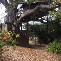 Maison perchée dans un baobab