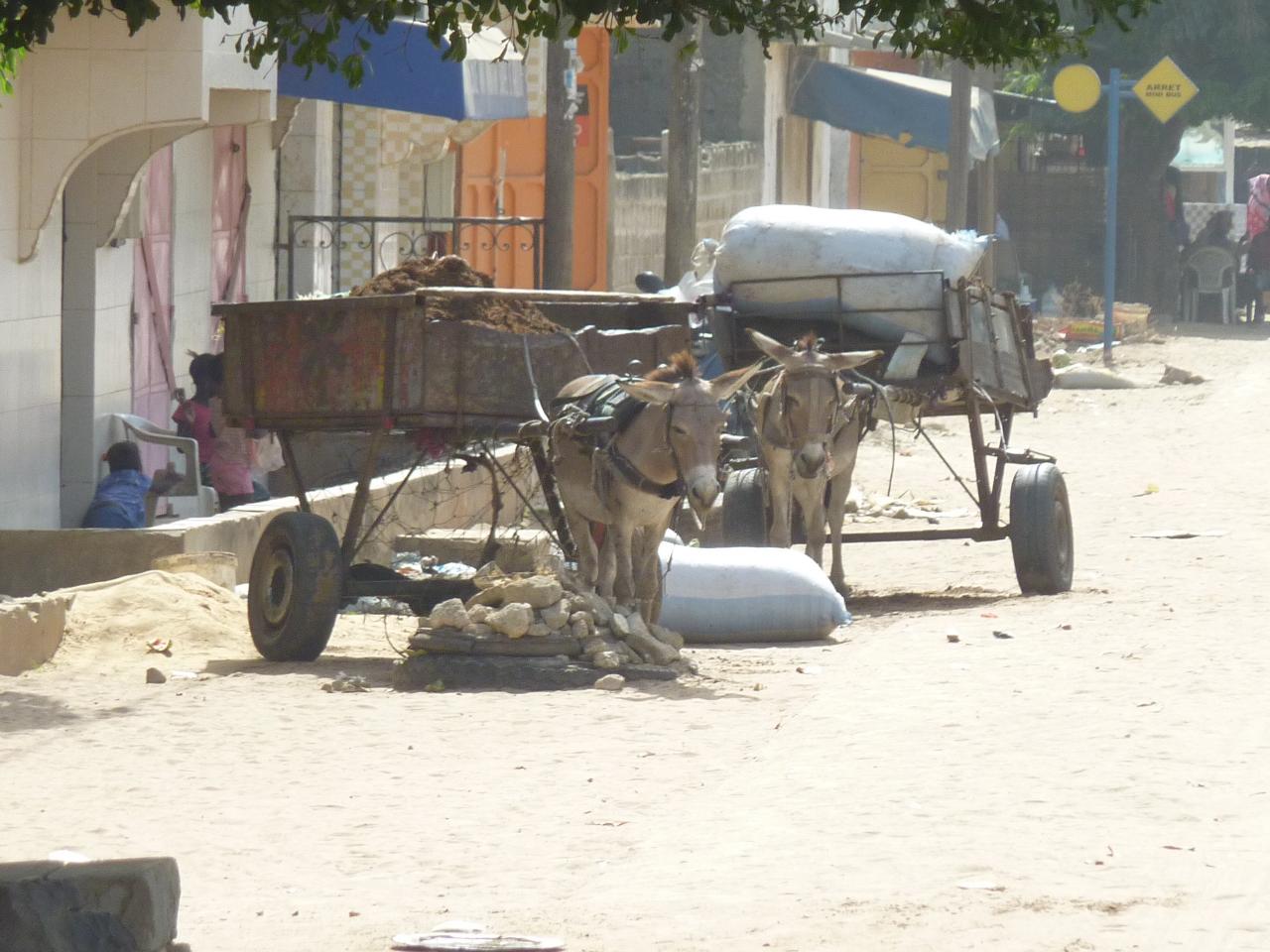 Mbour, vie quotidienne