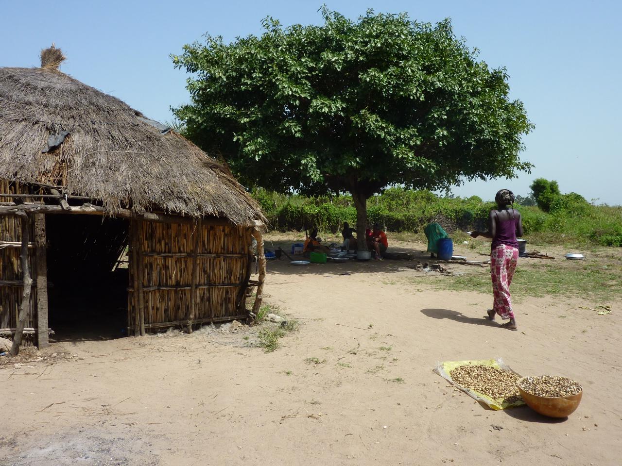 Village sénégalais